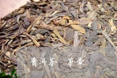 普洱茶 茶豪/2023042829646